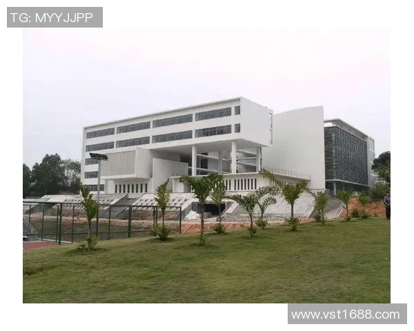 深圳篮球队状态分析与未来展望聚焦球队发展与挑战